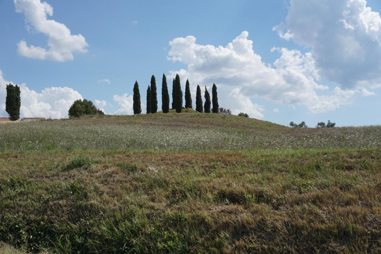Agriturismo Cheloni Guasticce 外观 照片