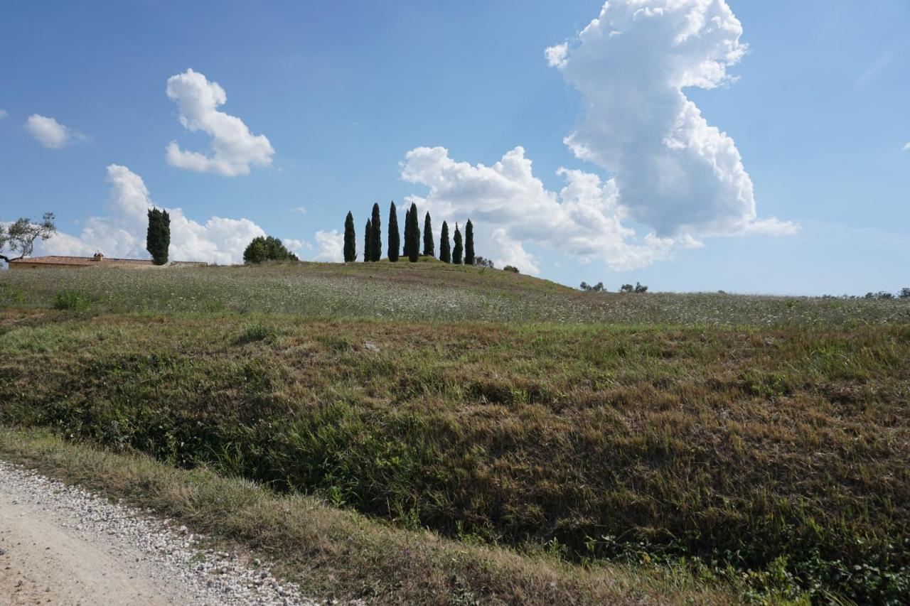 Agriturismo Cheloni Guasticce 外观 照片