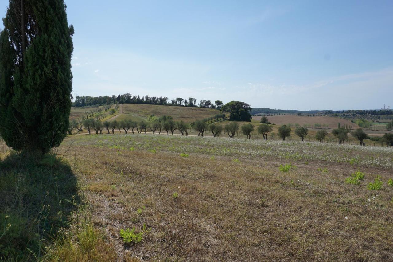 Agriturismo Cheloni Guasticce 外观 照片