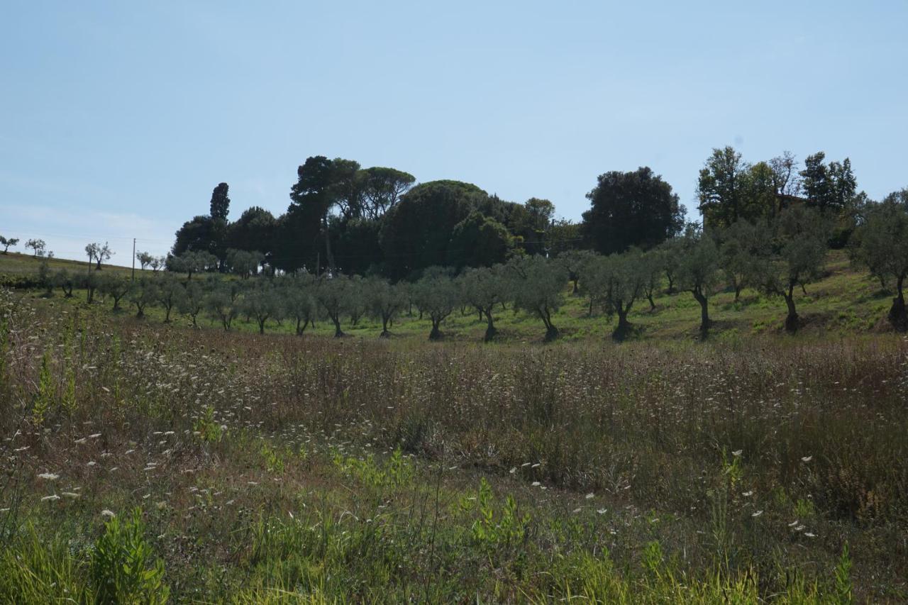 Agriturismo Cheloni Guasticce 外观 照片